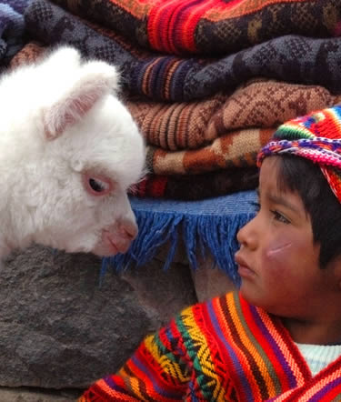 Tour de Aventura a AMANECERES DEL INCA | PERU 2024-2025