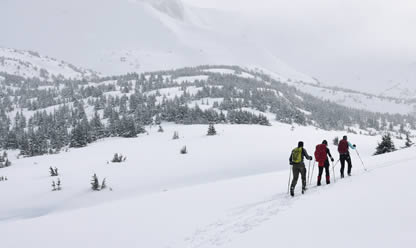 Viajes a PARQUE NACIONAL KENAI Y DENALI 2025 en español | Agencia de Viajes Festival