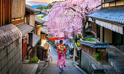 Viajes a CAPITALES DE JAPÓN 2026 en español | Agencia de Viajes Festival