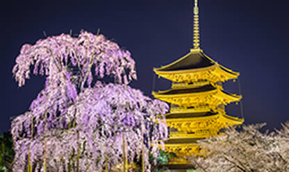 Viajes a TOKIO, KIOTO E HIROSHIMA 2024 en español | Agencia de Viajes Festival
