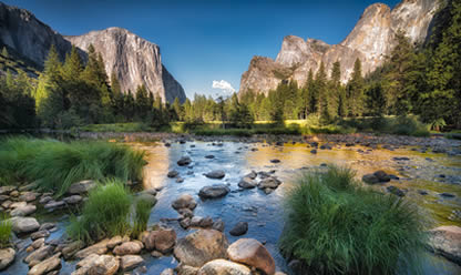 Viajes a DE MONTREAL A WASHINGTON 2026 en español | Agencia de Viajes Festival