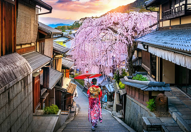 Foto del viaje a japon en Español 2024-2025