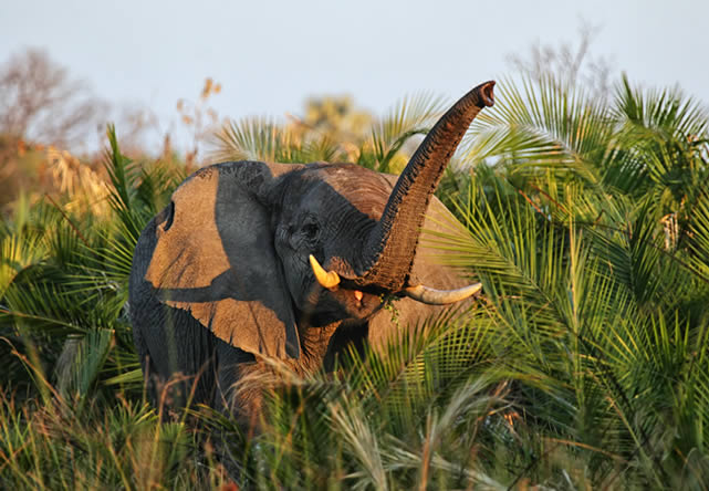 Foto del viaje a kenia en Español 2024-2025