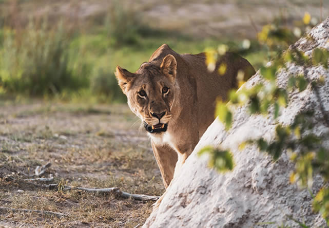 Foto del viaje a namibia en Español 2024-2025