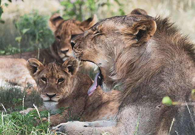 Foto del viaje a namibia en Español 2024-2025