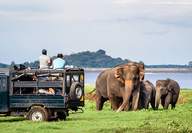 Foto del viaje a sri lanka en Español 2024-2025