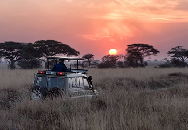 Foto del viaje a tanzania en Español 2024-2025