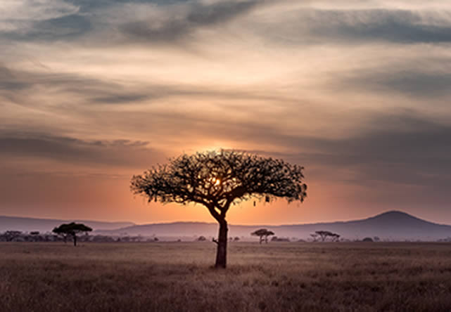 foto del tour a tanzania en español 2024-2025