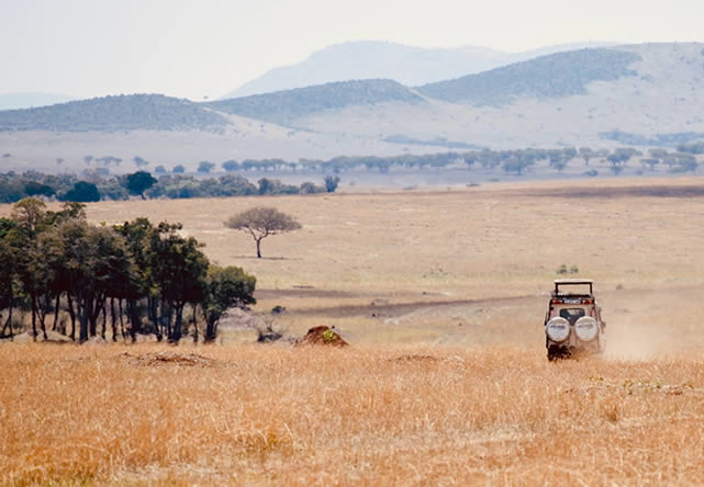 foto del tour a tanzania en español 2024-2025